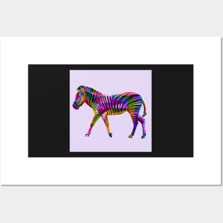 Zebra 1 Posters and Art